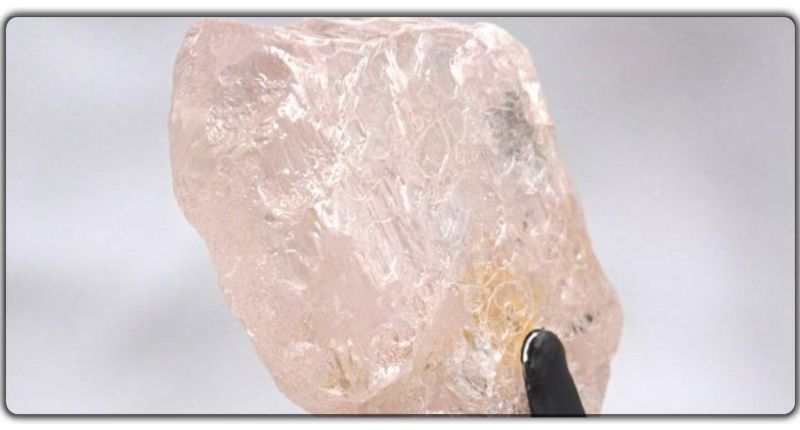Lulo Rose: 300 वर्षों में पहली बार मिला सबसे बड़ा दुलर्भ गुलाबी हीरा, 10 हजार में एक होता है पिंक डायमंड