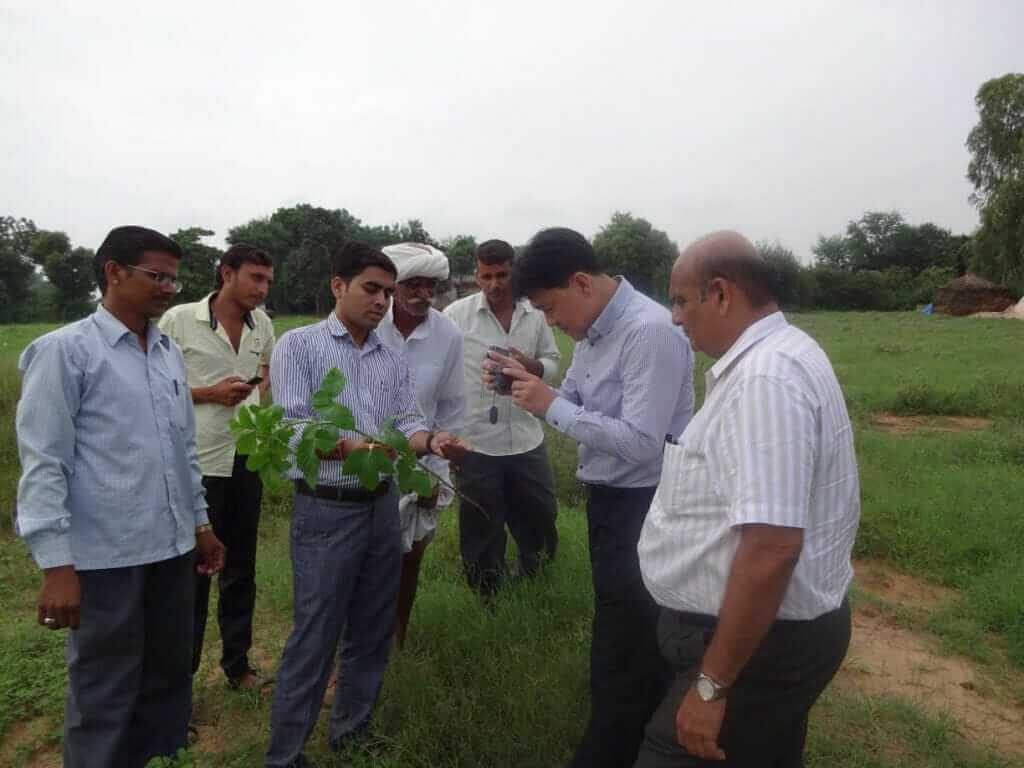 Rajasthan farmer Yogesh Joshi earning crores from cumin Organic Farming