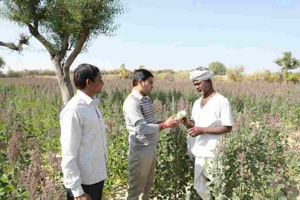 Rajasthan farmer Yogesh Joshi earning crores from cumin Organic Farming