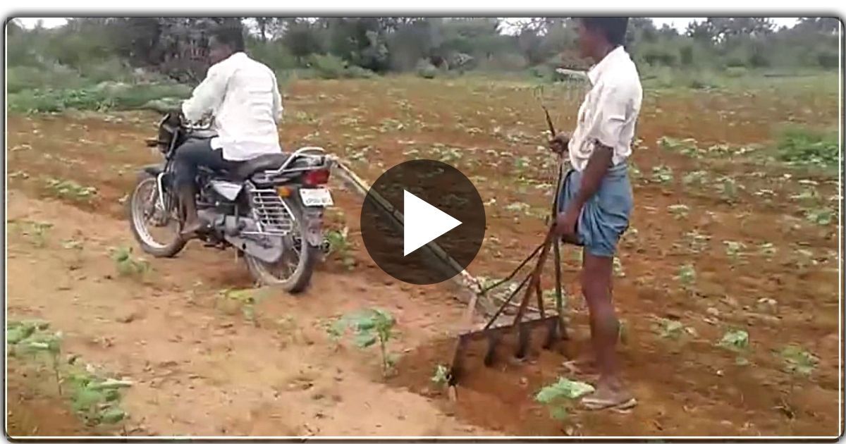 गांव में नहीं है ट्रैक्टर, शख्श ने खेती करने के लिए लगाया जुगाड़ – वीडियो वायरल